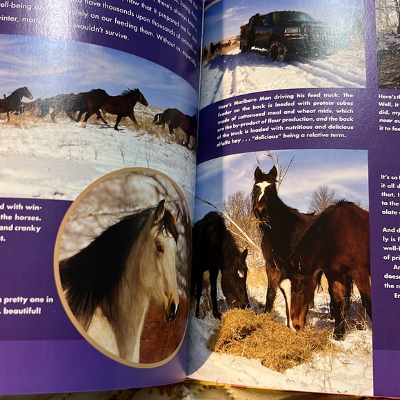 The Pioneer Woman Cooks Recipes from an Accidental Country Girl Hardcover Jacket - Picture 8 of 12